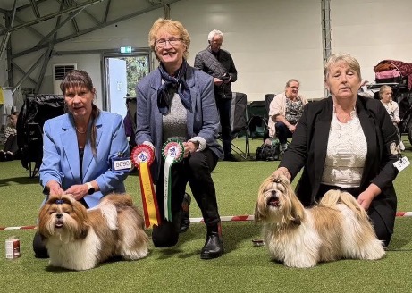 12 påmeldte, 5 hanner og 7 tisper